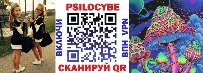 даркнет какой сайт  Хабаровск  Галлюциногенные грибы Psilocybe 