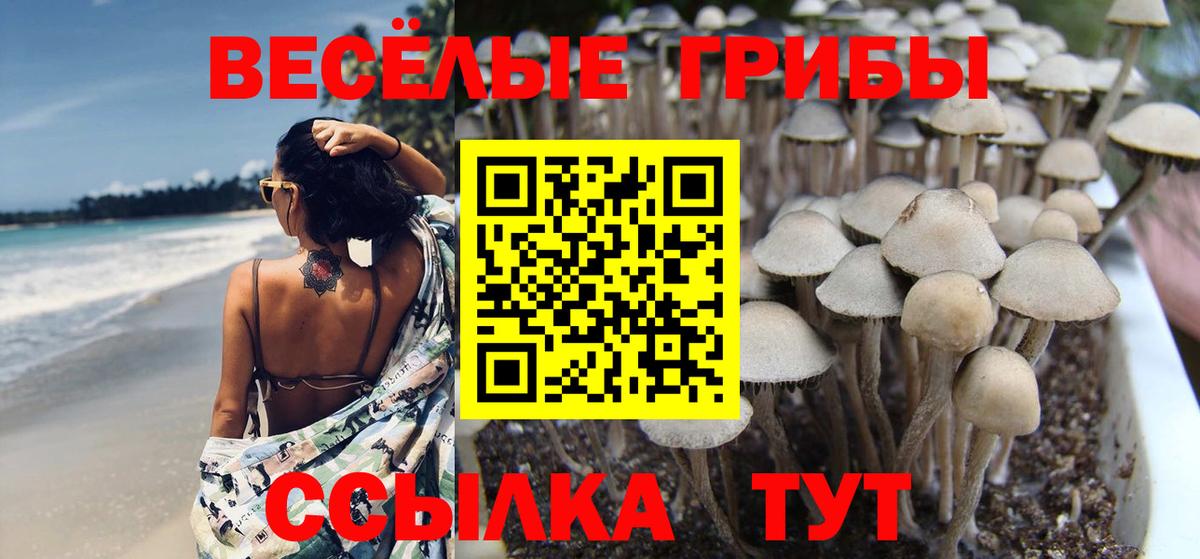 Псилоцибиновые грибы мицелий  купить закладку  Хабаровск  Вход с VPN 